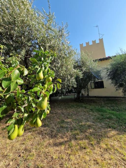 Castaldi Vicina Al Centro * Florença